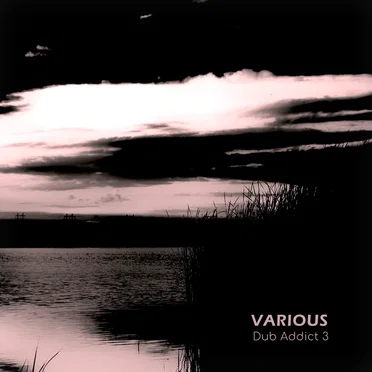Dub Addict Vol.3 by Various Artists - album cover