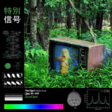 Special Signal