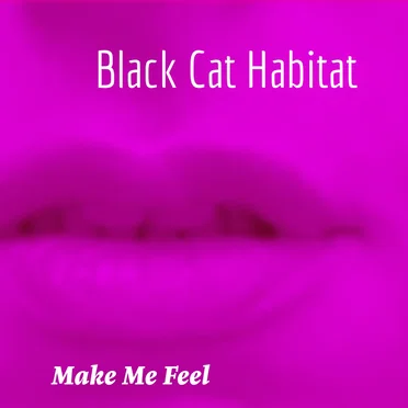 Make Me Feel by Black Cat Habitat - album cover