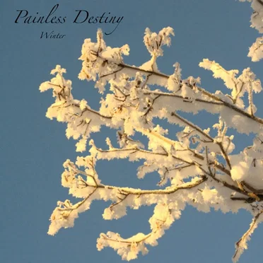 Winter by Painless Destiny - album cover