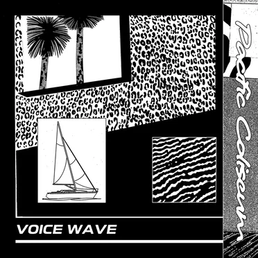 Voice Wave by Pacific Coliseum - album cover