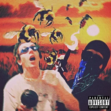 Swarm by Big Baller B - album cover