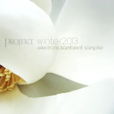 Projekt Winter 2013 Sampler by Various Artists - album cover