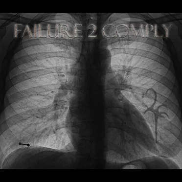 God Hides Underground by Failure 2 Comply - album cover