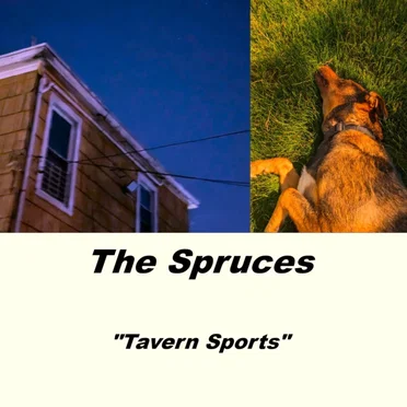 Tavern Sports