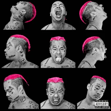 P!NK by Kid Trunks - album cover