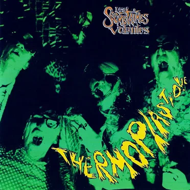 Thermoplastique by Les Secrétaires Volantes - album cover