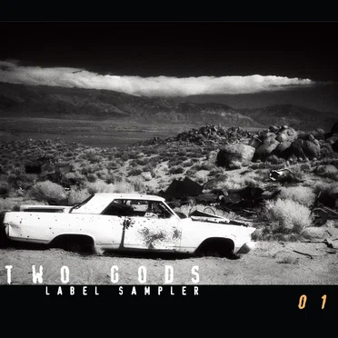 Two Gods Label Sampler : 01 by Various Artists - album cover