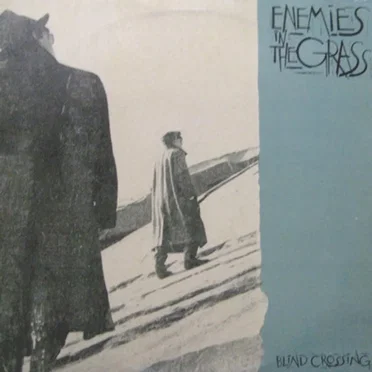 Blind Crossing by Enemies in the Grass - album cover
