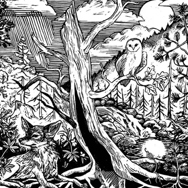 In Foras by Byssus - album cover