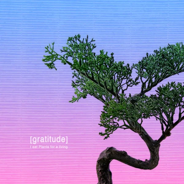 Gratitude