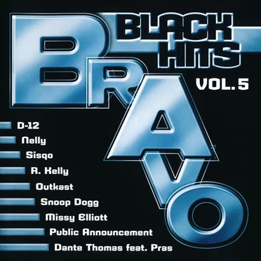 Bravo Black Hits, Vol. 5 by Various Artists - album cover