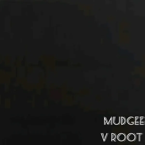 v root