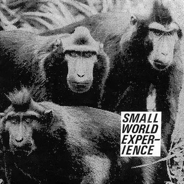 Small World Experience by Small World Experience - album cover