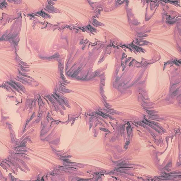 Sasanqua