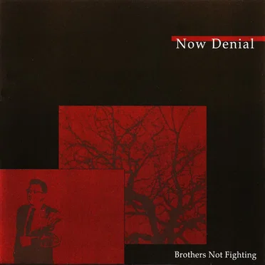 Brothers Not Fighting by Now Denial - album cover