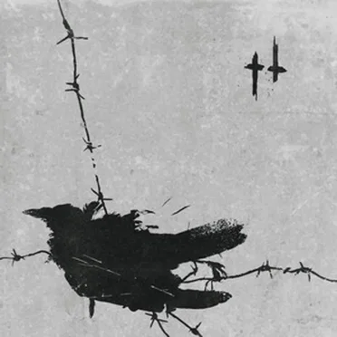 Death Is a Bird Flying