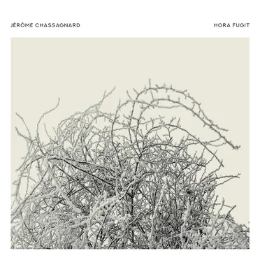 hora fugit by Jérôme Chassagnard - album cover