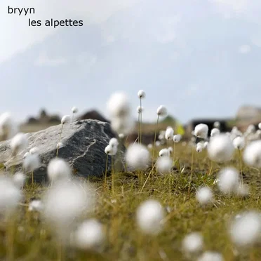 Bryyn