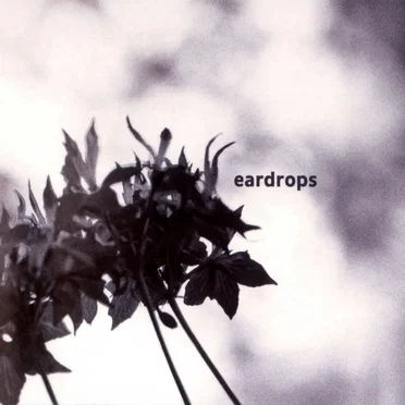 Gravity Has No Right to Define Up and Down by Eardrops - album cover