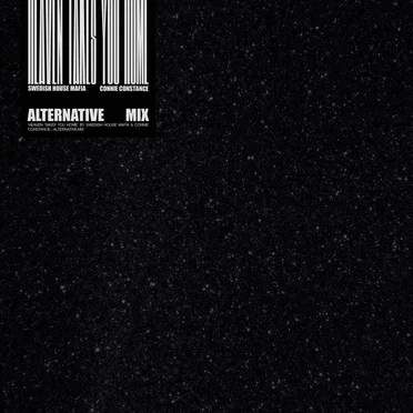 Heaven Takes You Home (alternative mix)