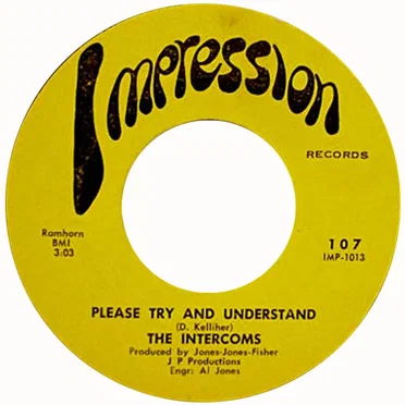 Please Try And Understand / Unabridged, Unadulterated, Unextraordinary, Ordinary, Mediocre Unoriginality Blues by The Intercoms - album cover