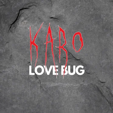 Love Bug by Káro - album cover