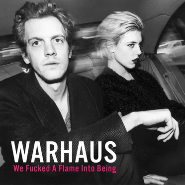 We Fucked a Flame Into Being by Warhaus - album cover