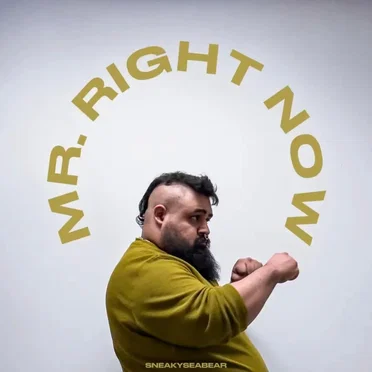 Mr. Right Now by Sneakyseabear - album cover