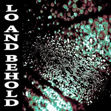 Lo and Behold