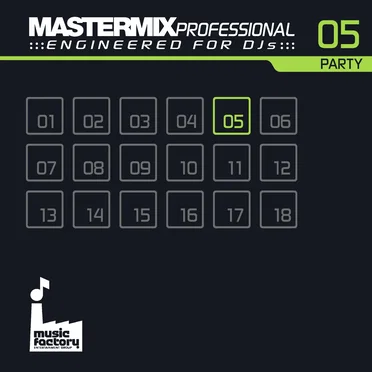 Mastermix Professional Engineered for DJs 05: Party by Various Artists - album cover