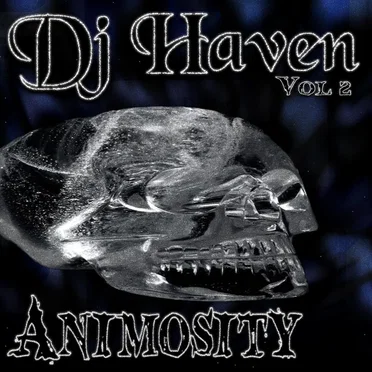 Vol. 2: Animosity by DJ Haven - album cover