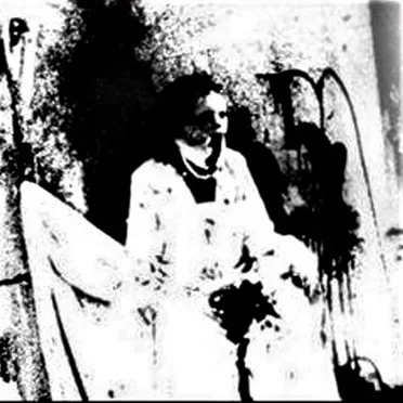The Map Says We're Fucked! Discography