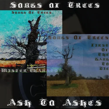 Ash to Ashes by Songs of Trees - album cover