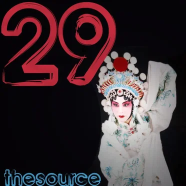 The Source Volume 29 by Various Artists - album cover
