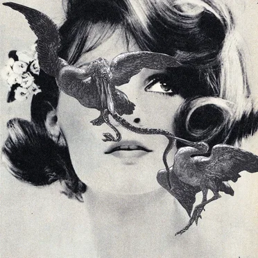 She Needs Cocaine by Kirtan Electric Dream - album cover