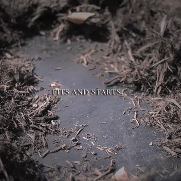 Fits and Starts by Alesana - album cover