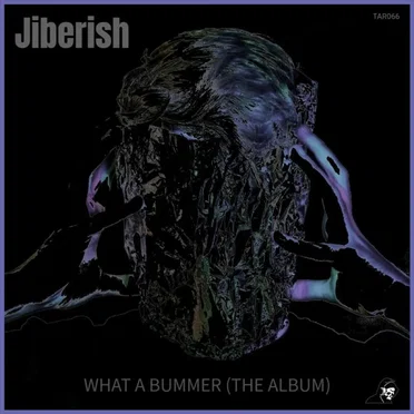 What a Bummer (The Album) by Jiberish - album cover