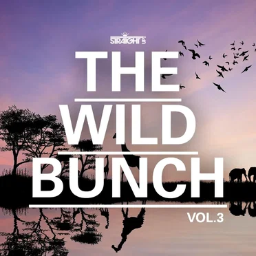 The Wild Bunch, Vol. 3 by Various Artists - album cover