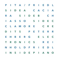 Reinhold Friedl artist image