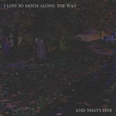 I Lost So Much Along The Way, And That's Fine