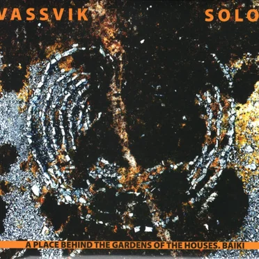 Torgeir Vassvik