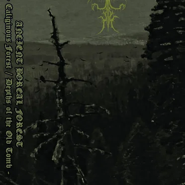 Caliginous Forest / Depths of the Old Tomb