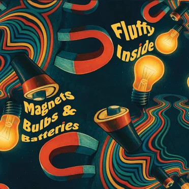 Magnets Bulbs & Batteries