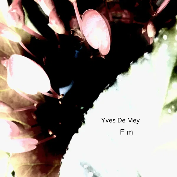 F m