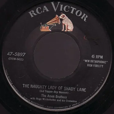 The Naughty Lady of Shady Lane / Addio