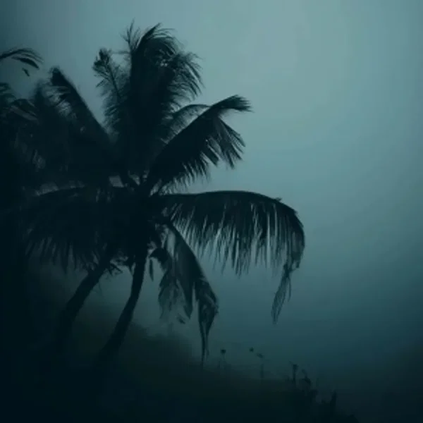 no beach today