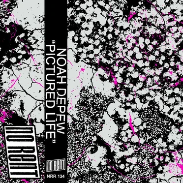 Pictured Life by Noah Depew - album cover