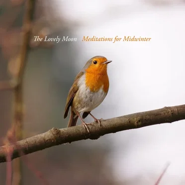 Meditations for Midwinter by The Lovely Moon - album cover