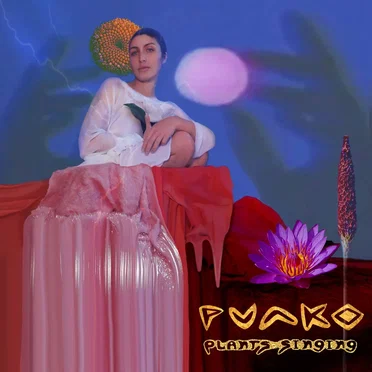 Plants Singing by Punko - album cover